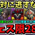 【フェス限最大28体GET】無料フェス限最大17体+フェス限最大11体(有料含む)！絶対に逃して後悔しないようにしましょう【パズドラ】