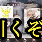 【メメントモリ】必須アルカナ筆頭、ルーク引くぞ！【メメモリ】