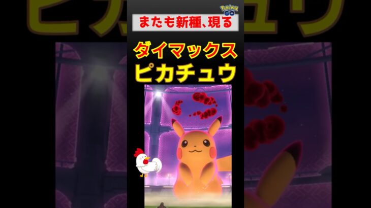 新種！【ダイマックス ピカチュウ】 #ポケモンgo #ポケモン #pokemongo #ダイマックス #ピカチュウ
