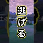 【ポケモンGO🔥】おこうで伝説ポケモンが登場する神イベント、ポケモン３０周年イベント大集合がやばすぎたww #ポケモン #ポケモンgo #shorts