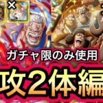 【トレクル】大乱戦 VS 黒ひげ海賊団 ガープ＆コビー、黒ひげ＆クザン、ひばりなし!!,ガシャ限のみ使用!!特攻2体編成!!【海賊王への軌跡 VSシリュウ】【海賊祭グランドパーティ】【OPTC】