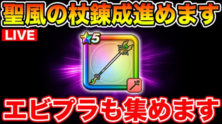 【ドラクエウォーク】聖風錬成改3目指して周回します!! エビプラも集めるぞ!!【DQW】