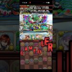 ぜんっぜん頑張らない回復さん【パズドラ】