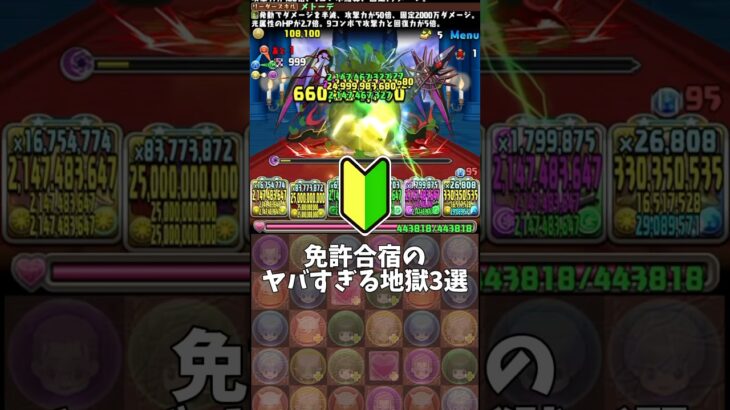 免許合宿のヤバすぎる地獄3選 #パズドラ #shorts #免許合宿 #フリーレン #フェルン #ゼーリエ #雑談 #トーク