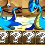 【御三家】プレシィと愉快な仲間たちの冒険？【パズドラ】