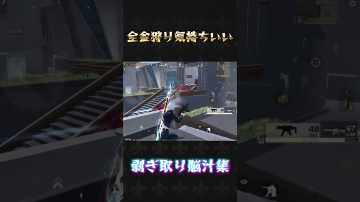 全金狩り気持ちいい#荒野行動 #knivesout #ペニンシュラ大脱走