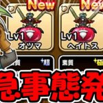 【ドラクエウォーク】緊急事態発生！！こ・・・これは・・・！キエエエエエエエエエェェェェェ