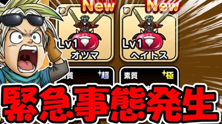 【ドラクエウォーク】緊急事態発生！！こ・・・これは・・・！キエエエエエエエエエェェェェェ