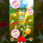 Finally Shundo✨Shiny Cinderace in Evolutionin Pokémon Go #soparstart #shorts #event #shiny #100iv