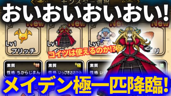 【ドラクエウォーク】メイデンドール極一匹狼降臨ッ！コイツは使えるのか？【なかまモンスター】【モンスターグランプリ】