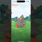 【難易度低】ヒスイウインディ極小サークルクリティカルゲット【ポケモンGO】