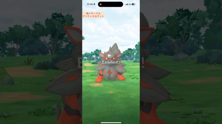 【難易度低】ヒスイウインディ極小サークルクリティカルゲット【ポケモンGO】