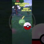 20260316のポケモンGO-3