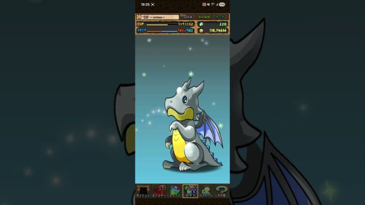 #パズドラ 　ミニキャラガチャ単発5回だけ引いてみた🐈‍⬛