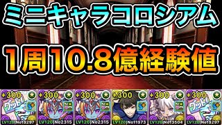 【パズドラ】ミニはく1体持ってる人向け！報酬確定！1周10.8億経験値！ミニキャラコロシアム！みにまむぱらだいす！1周4分台！ガチャどら編成でランク上げ周回！