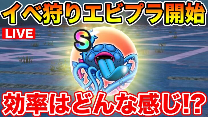 【ドラクエウォーク】ReWALKクエストでのエビプラ狩りはどのくらい効率が良いのか早速周回!!【DQW】