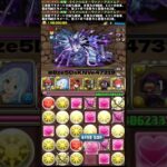 【パズドラ】ラインハルトVSロキ＝ウィルド