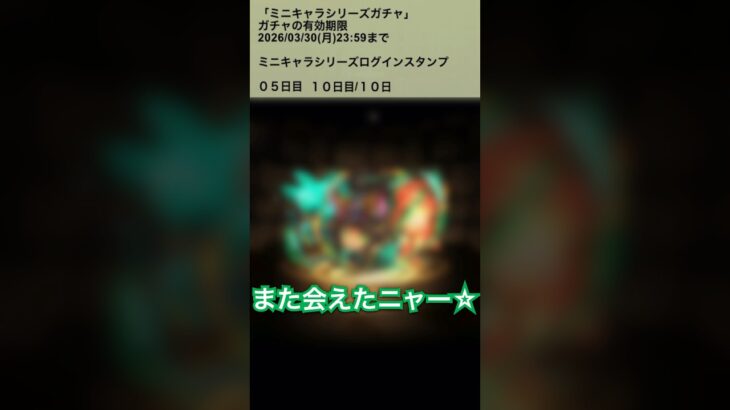 【パズドラ】ミニキャラシリーズガチャ ログインスタンプ5日目・10日目 ミニキャラシリーズ #パズドラ実況 #れざおのゲーム実況 #チャンネル登録お願いします