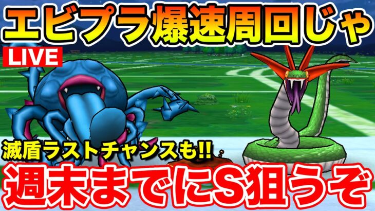 【ドラクエウォーク】今日もエビプラ狩り全力!! 滅盾ラストチャンスの10連も引いて行くぞぉ～!!【DQW】