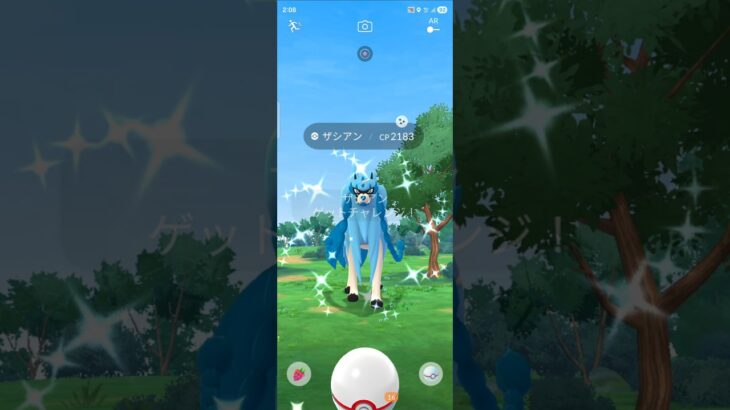 色違い　ザシアン　高個体値　ポケモンGO