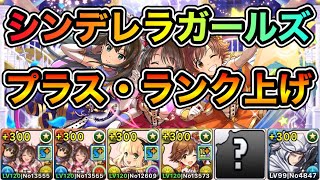 【パズドラ】最新版！育成枠あり！1周10.5億経験値！シンデレラガールズスペシャルステージ！ステージオブシンデレラ！1周3~4分台！サレーネ-new×上杉編成でランク上げ周回！