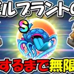 【ドラクエウォーク】エビルプラントの心、Sが完成するまで無限狩りいくぞーーー！！竪琴竪琴竪琴竪琴！！