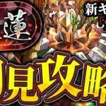 紅蓮チャレンジ初見攻略配信！！勝つぞーーー！！【パズドラ配信】