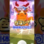 Dピカチュウ１７戦♪色違い出現!!【ポケモンGO】