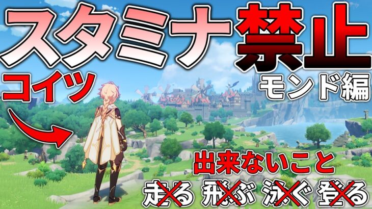 【原神】スタミナ消費“完全禁止”でテイワットを冒険したい(後編)
