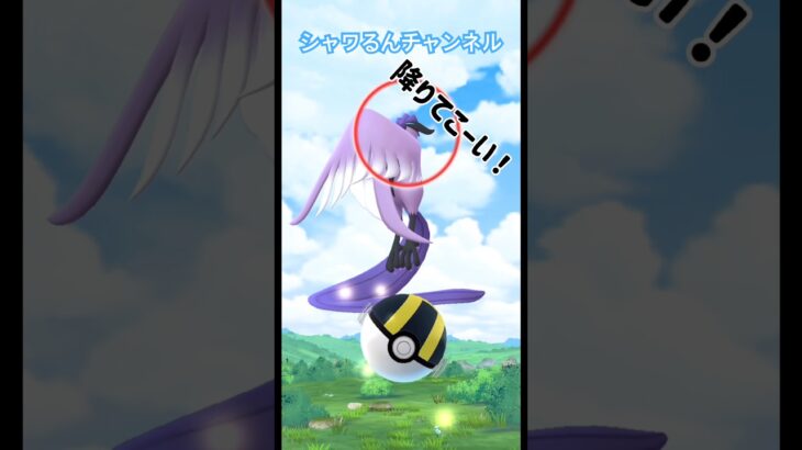 ガラルフリーザー出現！え⁉︎夢か？ #ポケモン #ポケモンgo #ガラルフリーザー #ガラル三鳥