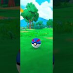 ポケモンGO! のイベントの コミュニティデイで 色違いのヒバニーを 2羽捕獲。