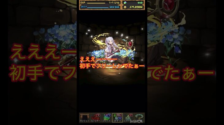 【パズドラ】葬送のフリーレンコラボガチャ引いてみた‼️初手は神引きだった件⁉️#パズドラ#パズドラ葬送のフリーレンコラボ#葬送のフリーレン