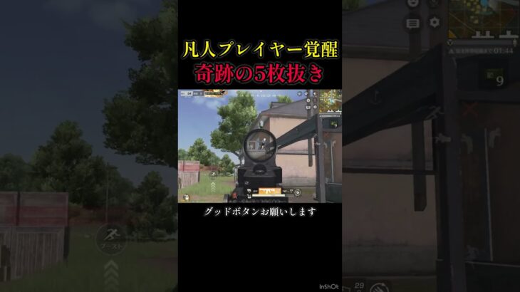 あなたの時間を少しください#shorts #荒野行動