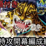 [トレクル]トレジャーマップVSベガパンクフル特攻編成立ち回り紹介！フル特攻ならここまで簡単！※手順付きで誰でもできます。[OPTC][トレジャーマップ]