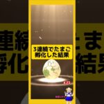 3連続でたまご孵化！今回の成果は？#ポケモンgo #たまご孵化 #pokemongo #新道ひかり