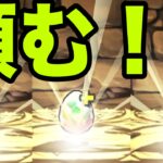 恐怖と絶望の『虚一点狙いガチャ』銀魂コラボ【パズドラ】