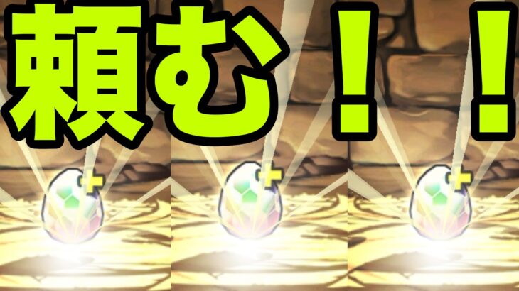 恐怖と絶望の『虚一点狙いガチャ』銀魂コラボ【パズドラ】