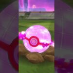 #ポケモンGO #pokemongo #ウールー #ポケモン #wooloo  #pokemon #ダイマックス