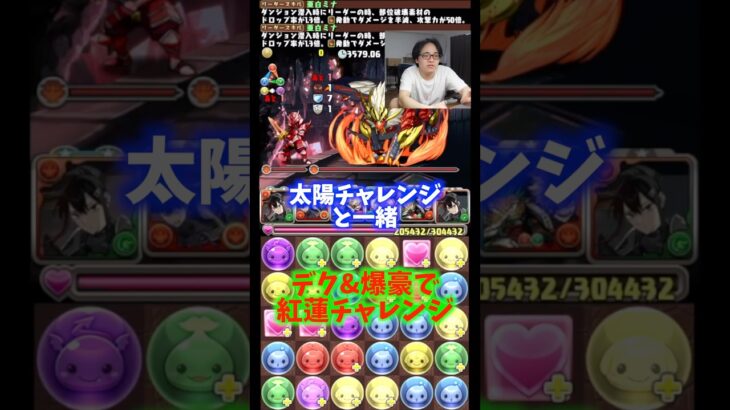 【すごくない？】天境チャレンジから変えてません。 #たかし #パズドラ