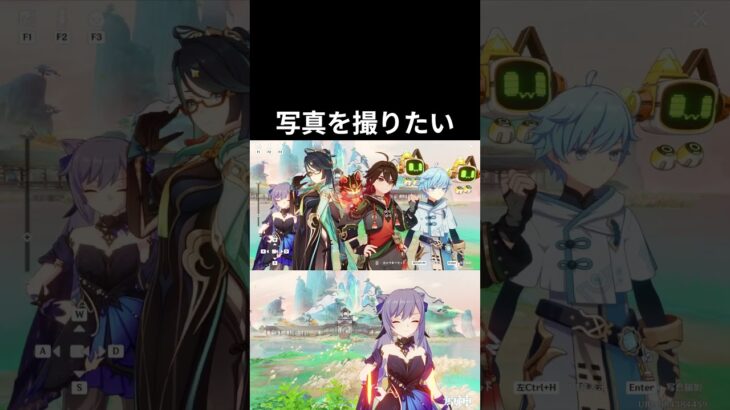 【原神】ただ写真を撮りたいだけなのにw #原神 #genshinimpact