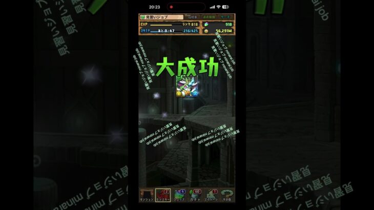 S31.ラヴィッシュ+891 #パズドラ