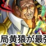 トレクル GP 最終日リーダー候補 黄猿