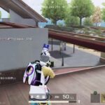 [PS5/あみかるコハクのまったりゲーム]荒野行動/のんびり配信します(*^^*)