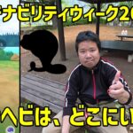 【ポケモンGO】スナヘビ、ノノクラゲ、ガラルサニーゴ(サングラス)調査 サステナビリティウィーク2026