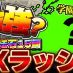 実は強い！？EXラッシュを学園ガチャ引いて出たキャラリーダーで攻略したらまさかのアイツが最強すぎた！！【パズドラ実況】＃パズドラ