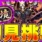 負ける気がしねぇ・・・冥境チャレンジ初見攻略配信！！【パズドラ配信】