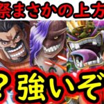 [トレクル]上方修正来たー! 海賊祭フェス限達が爆裂強化!? アイツらだいぶヤバいぞ!!!!! [12周年][OPTC][sugo fest]