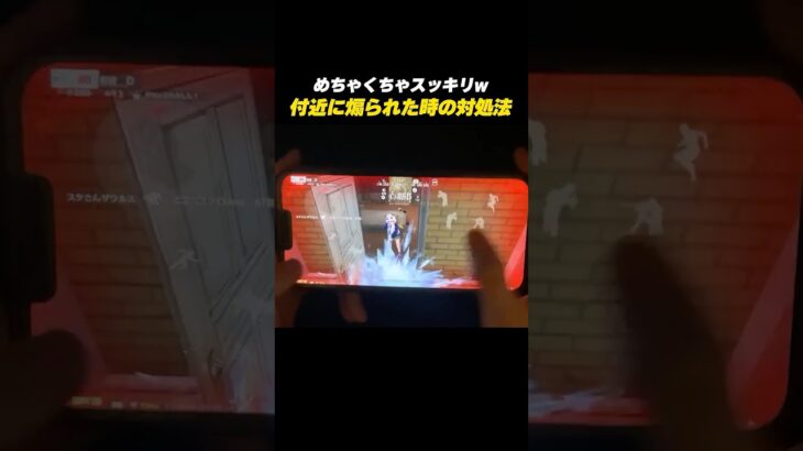 【 #荒野行動】付近に煽られた時の対処法がこちらww #荒野GOGOFES#ネタ動画