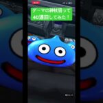 ドラクエウォーク！ダーマの神杖狙って40連勝負！見た目装備も全然ゲットしたい！ #gameplay #gaming #games #ゲーム実況 #チャンネル登録お願いします