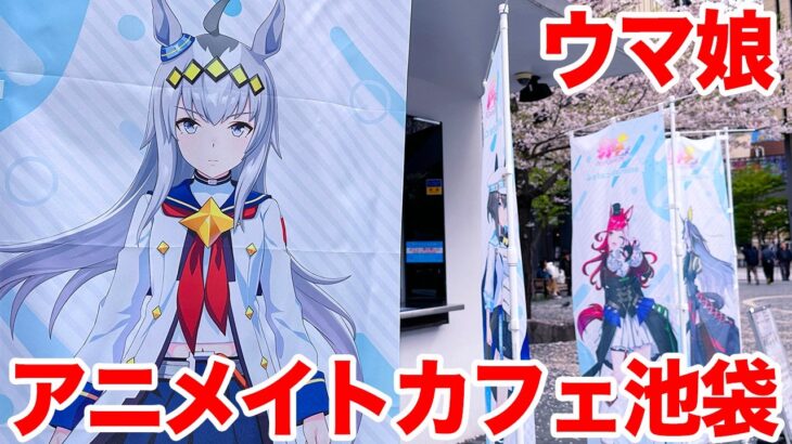 【ウマ娘】ウマ娘 プリティーダービー 競馬場リバイバル in アニメイトカフェ池袋店に行ってきた【笠松のリベンジ】